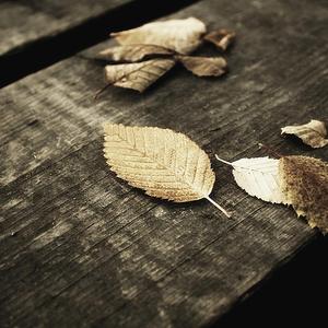 姐姐吃妹妹胸动漫
